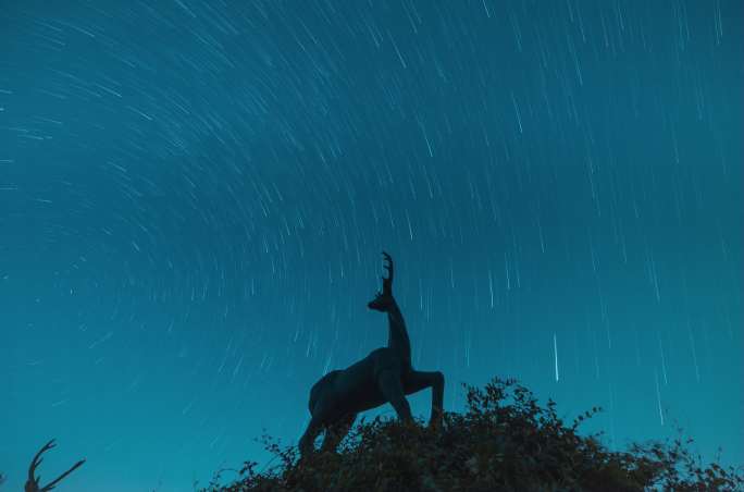 太湖鼋头渚鹿鼎山星空星轨