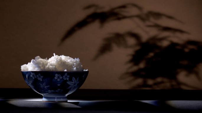 一碗大白米饭 青花瓷碗 文竹 米粒特写