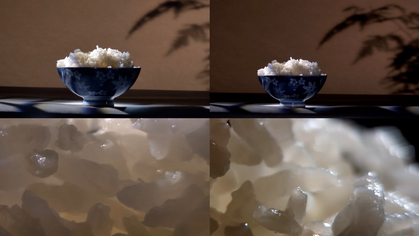 一碗大白米饭 青花瓷碗 文竹 米粒特写