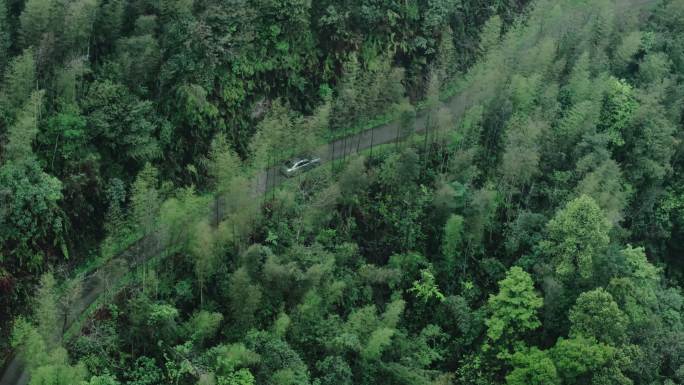 桂林山水在竹林树林秘境山路中穿行的车