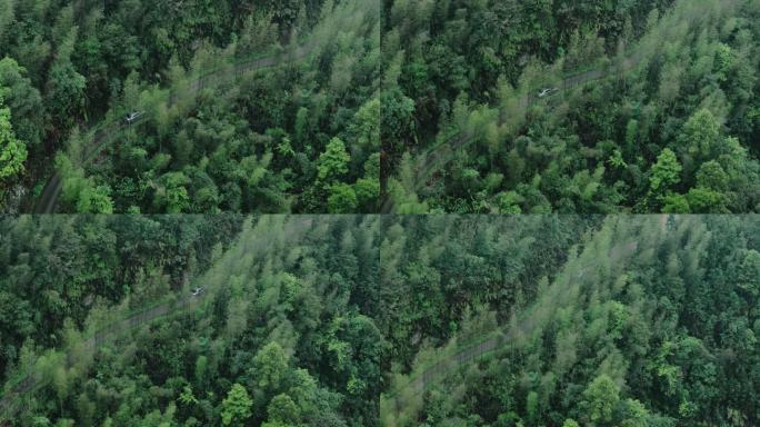 桂林山水在竹林树林秘境山路中穿行的车