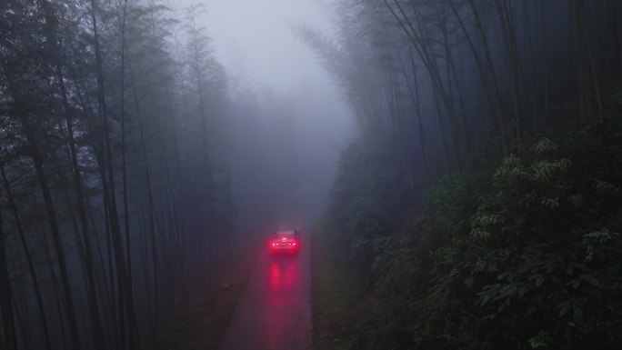 桂林山水在竹林树林秘境山路浓雾中穿行的车