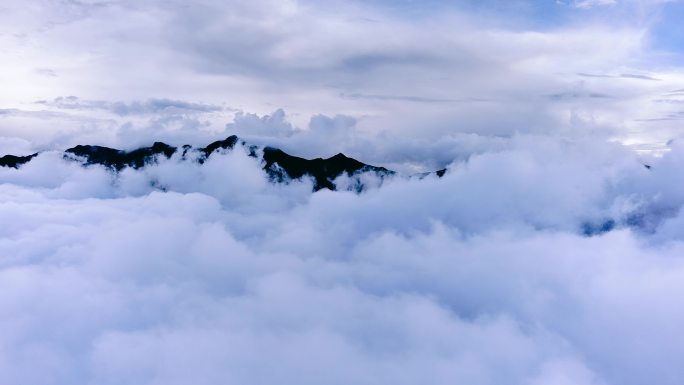 航拍云南迪庆白马雪山自然保护区上空的云海