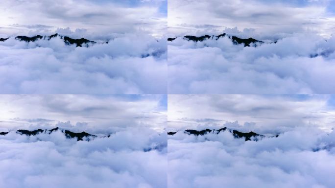 航拍云南迪庆白马雪山自然保护区上空的云海