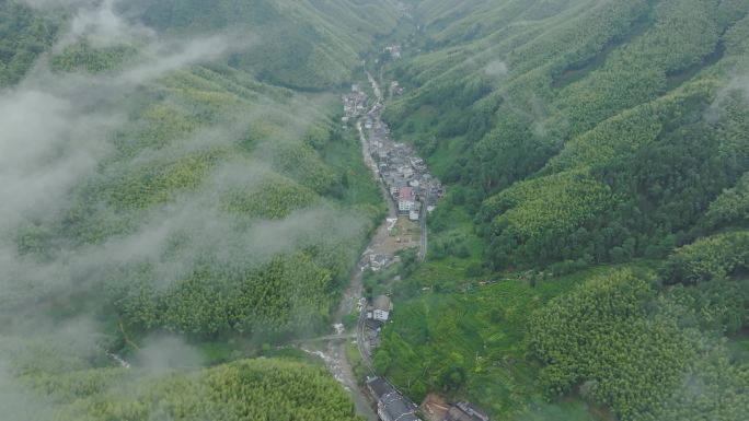 武夷山桐木村茶山航拍