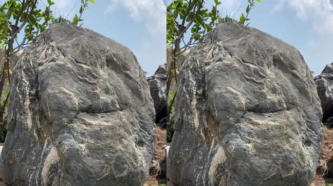 园林景观石 吊机吊装 风景园林 绿化石