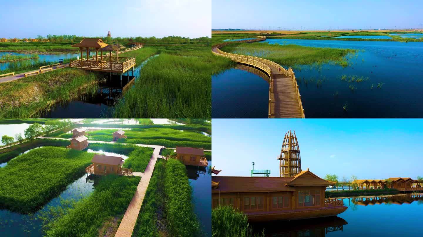 大自然草地 湿地公园 航拍中国
