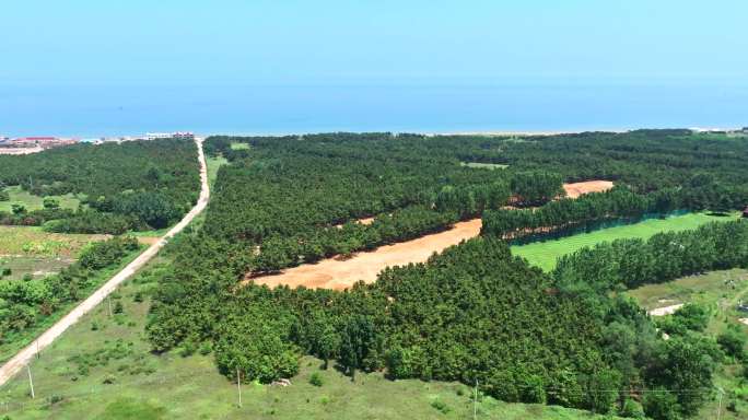 养马岛海边风景航拍