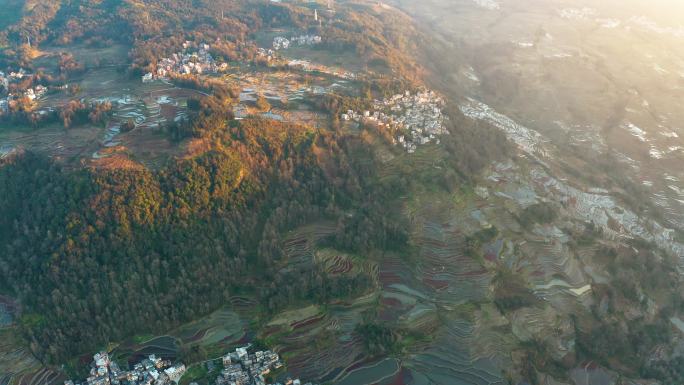 航拍云南元阳梯田风光