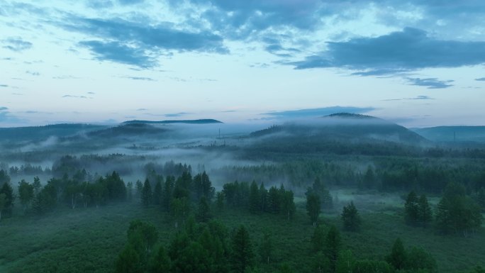航拍黄昏下的云雾森林