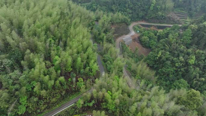 桂林山水在竹林树林秘境山路中穿行的车