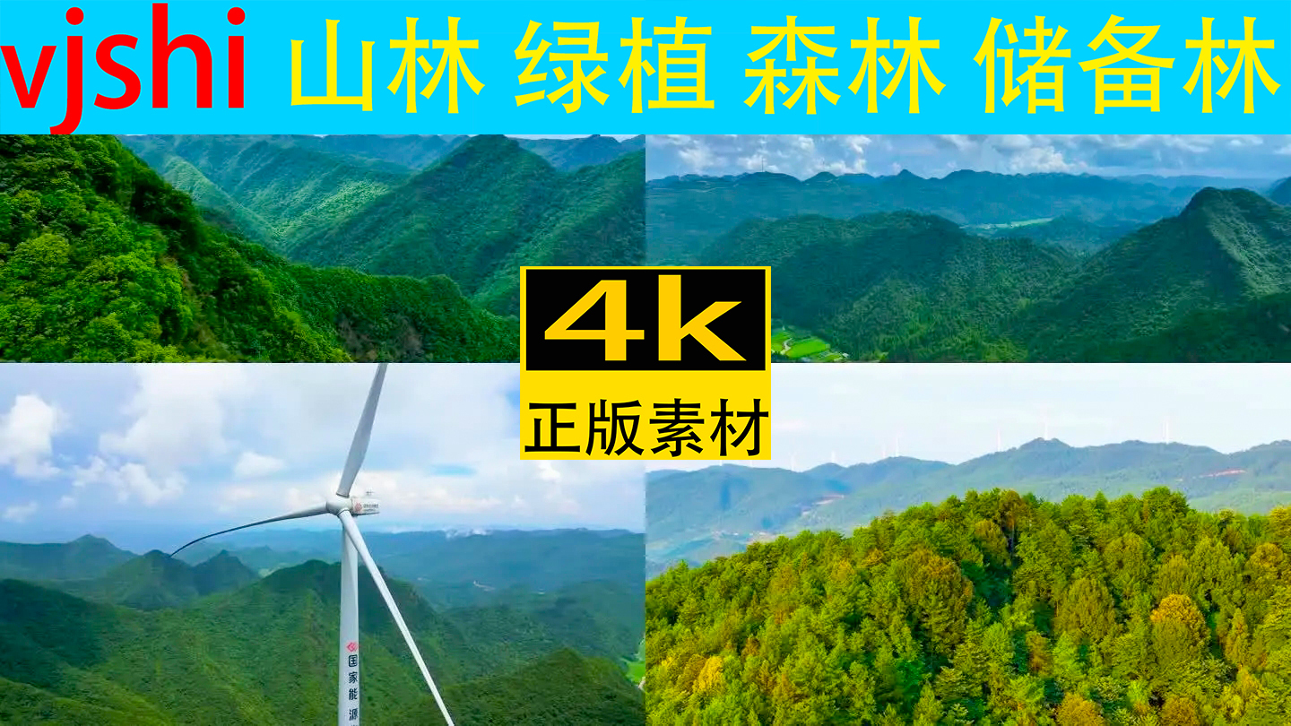 绿色雨林森林山林植物林地