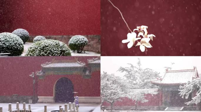 高清实拍北京太庙春雪
