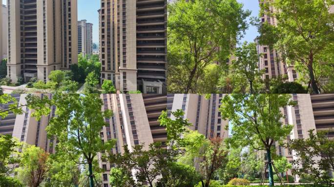 小区 阳光 居住 人文 小区绿化 绿化