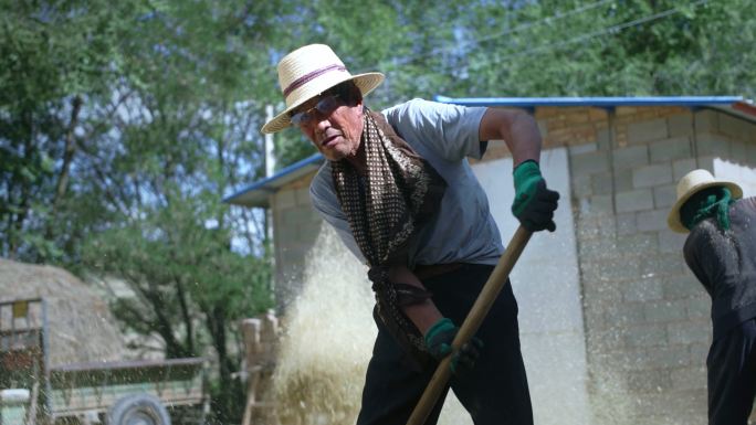 农村老人用老手艺碾场、农村老人干活