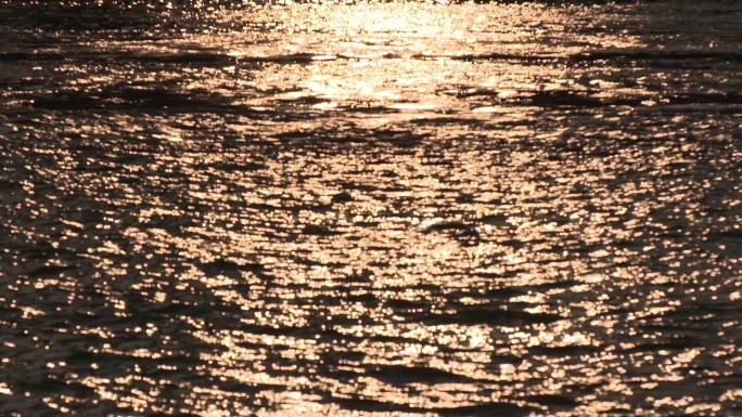 上海外滩 夕阳下的水面 飞鸟船只C028