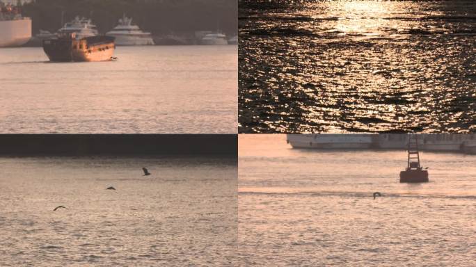 上海外滩 夕阳下的水面 飞鸟船只C028