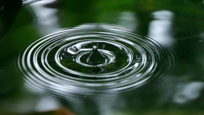 树叶 水滴 雨滴 水波纹 大自然 水