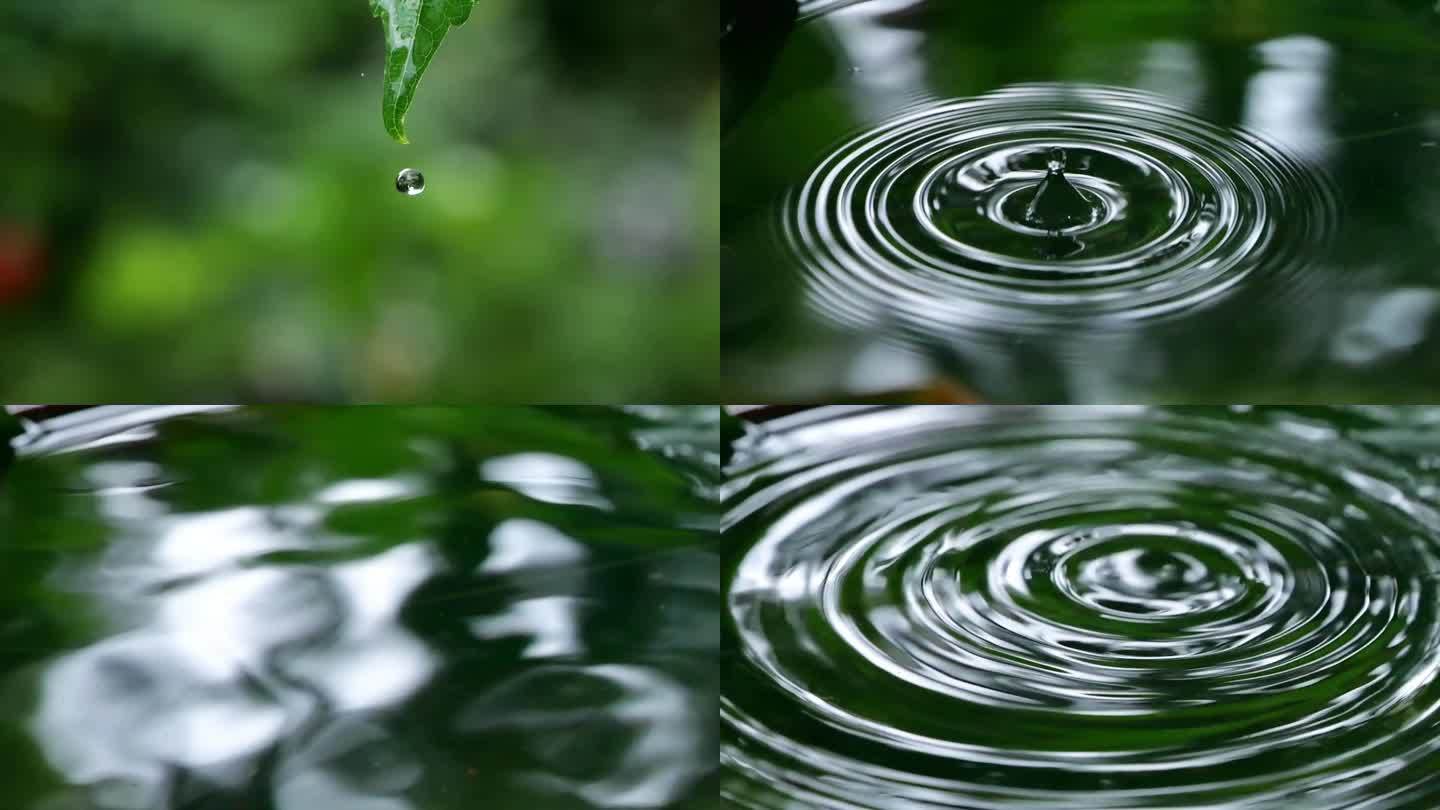 树叶 水滴 雨滴 水波纹 大自然 水