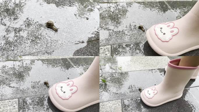 雨中蜗牛与小朋友