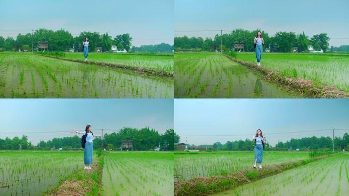 女孩漫步乡村田间呼吸新鲜空气欣赏秧苗风景