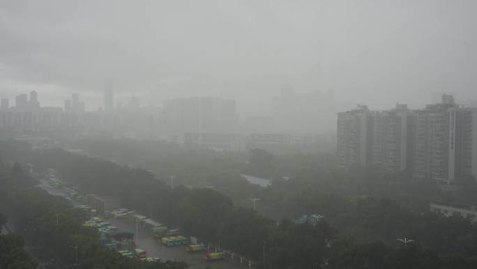 夏季深圳下雨过程延时记录
