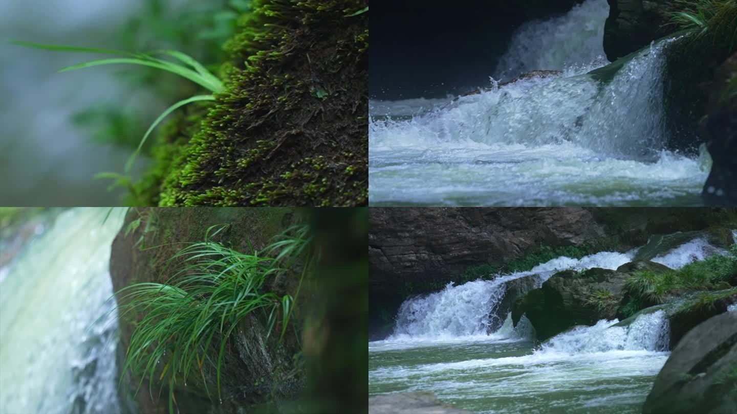 水源溪流 清澈溪流 溪水生态植被