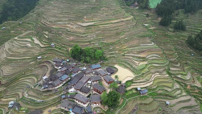 加榜梯田航拍