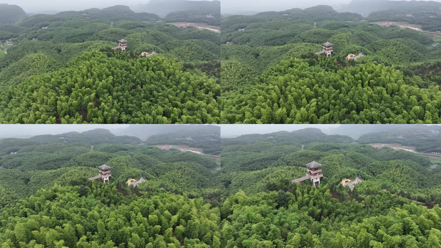 竹海竹林风光乡村大山风景航拍素材乡村振兴