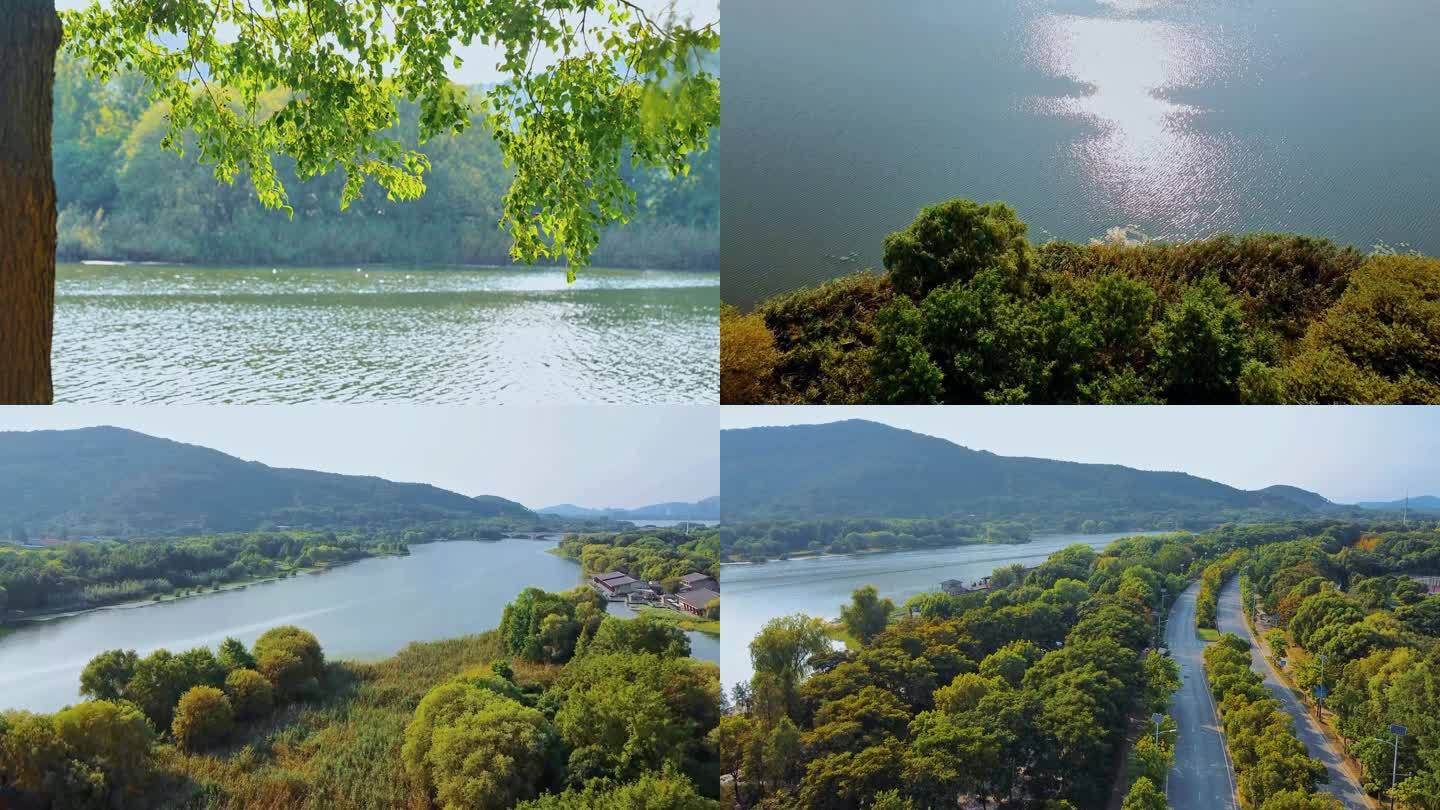 无锡绿色生态 长广溪湿地公园