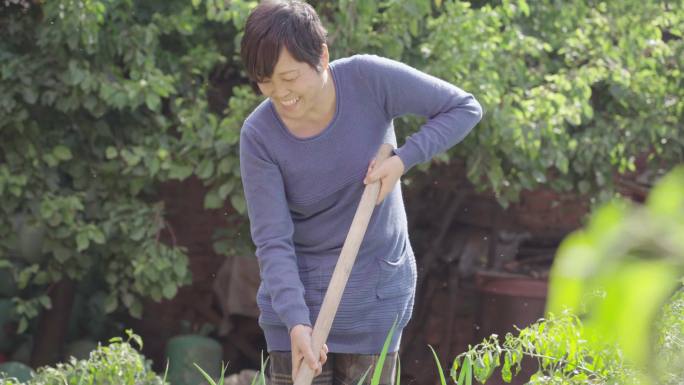 农村妇人院子里干农活