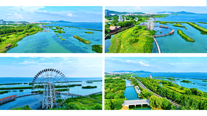 太湖美景太湖湿地公园航拍4K