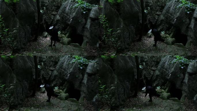 女孩在森林中探索