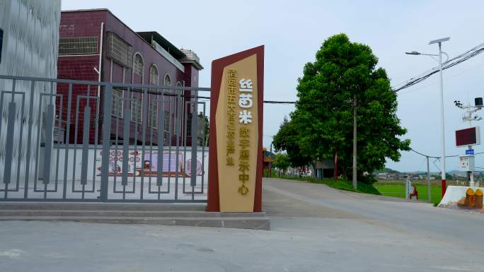 【正版4K素材】清远市丝苗米数字展示中心