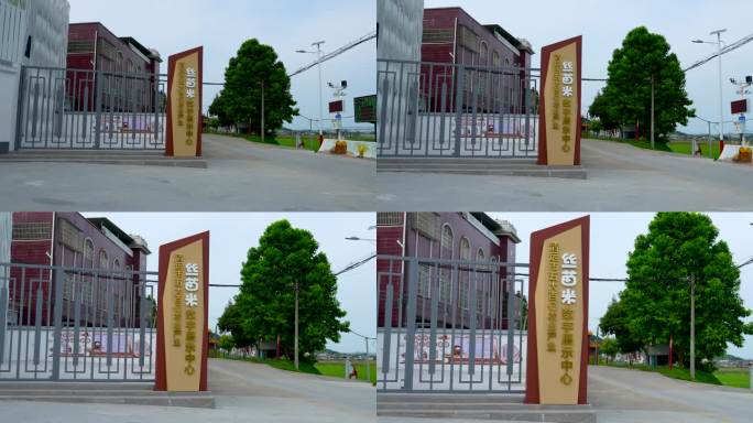 【正版4K素材】清远市丝苗米数字展示中心