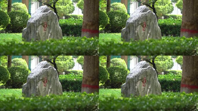 学校环境 学校素材学校空镜 学校实拍素材