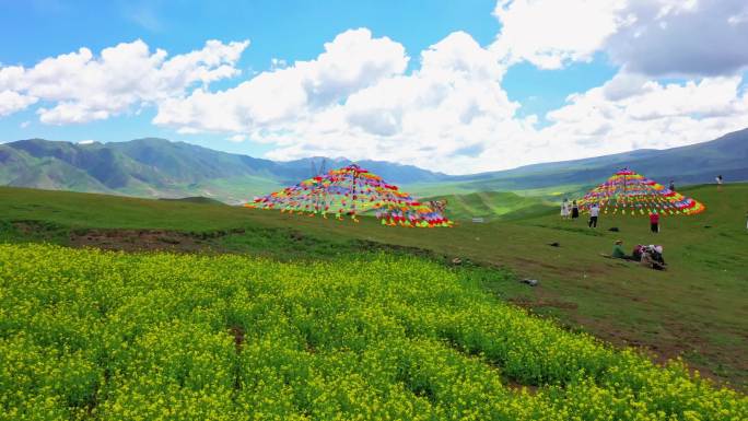 航拍青海日月山油菜花五彩经幡4k视频