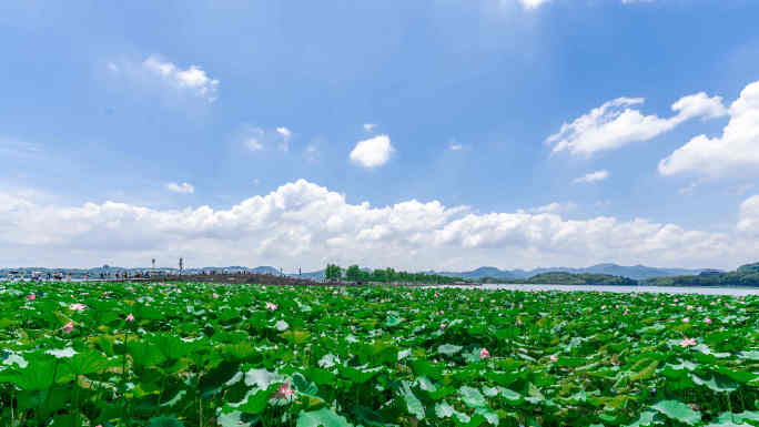 杭州西湖延时