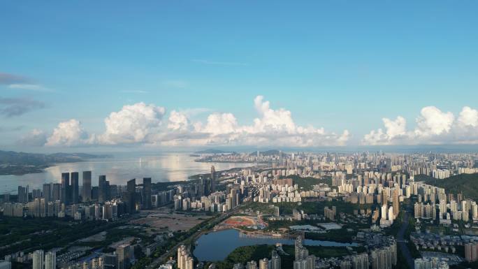 深圳湾城市景观航拍