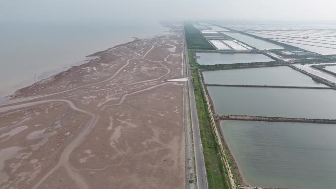 航拍东营黄河口红滩湿地