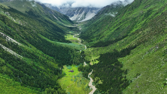 夏季白马雪山