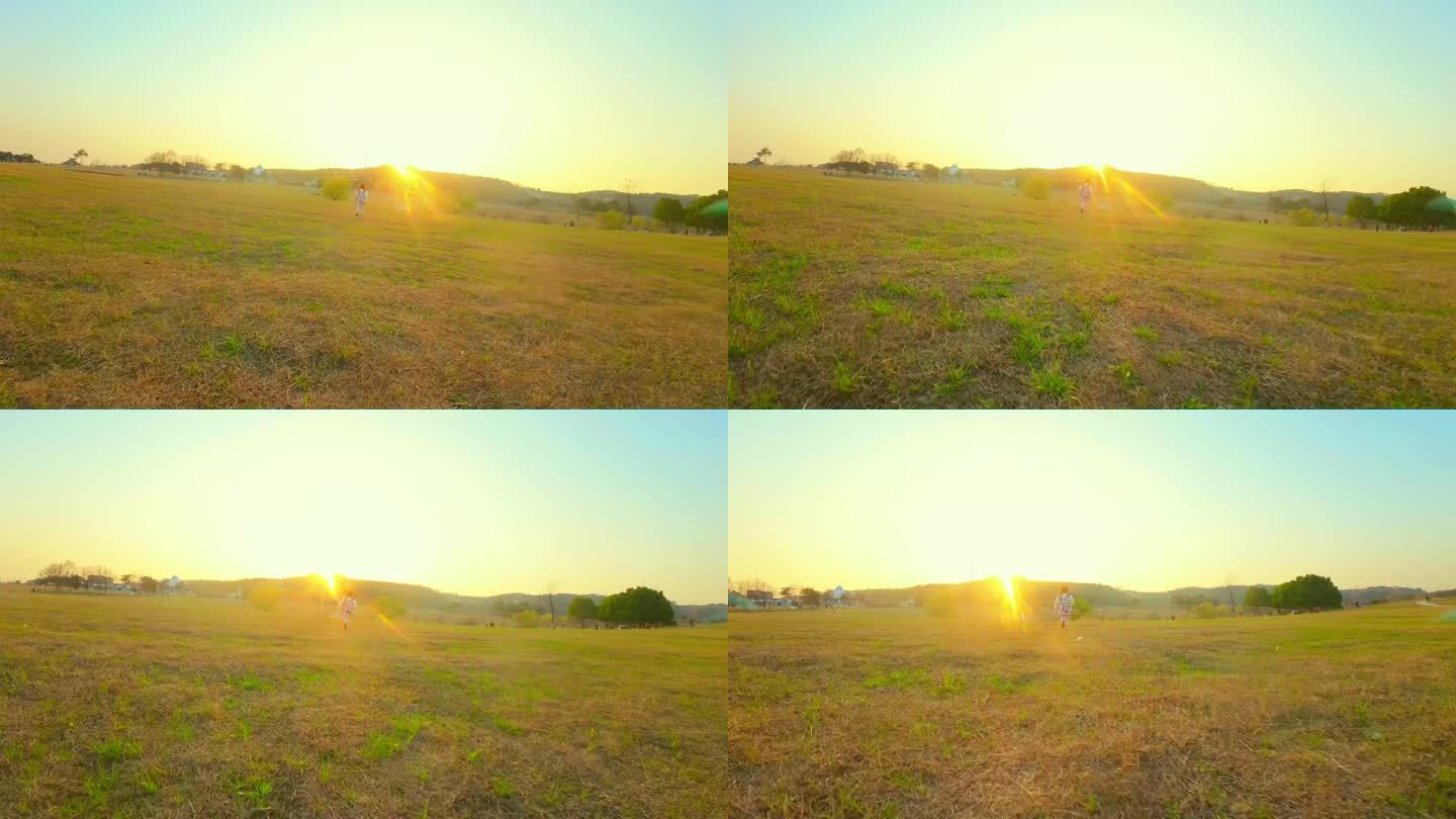 草原黄昏夕阳下的奔跑