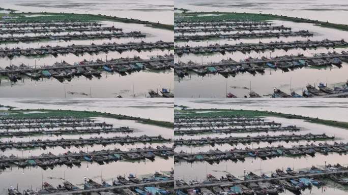 4K-Log-航拍苏州阳澄湖渔船码头