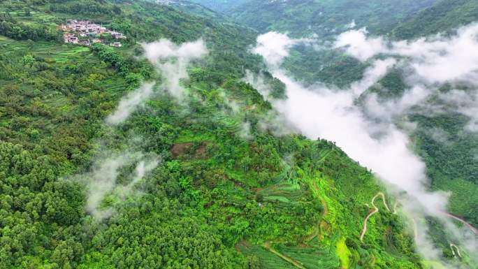 云南横断山脉高黎贡山大山云雾延时