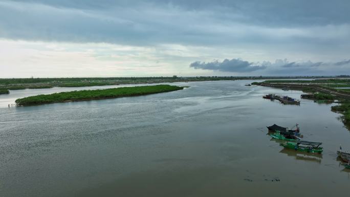 4k湛江乐民港红树林滩涂湿地保护区航拍