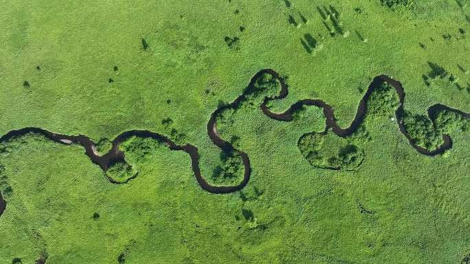 航拍内蒙哈乌尔森林湿地河湾