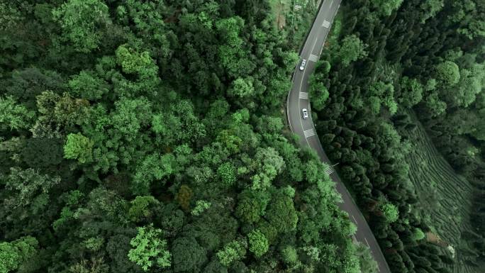 原创雅安蒙顶山索道