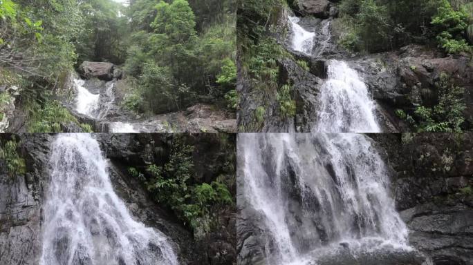 X浙江温州泰顺县乌岩岭白天山涧流水