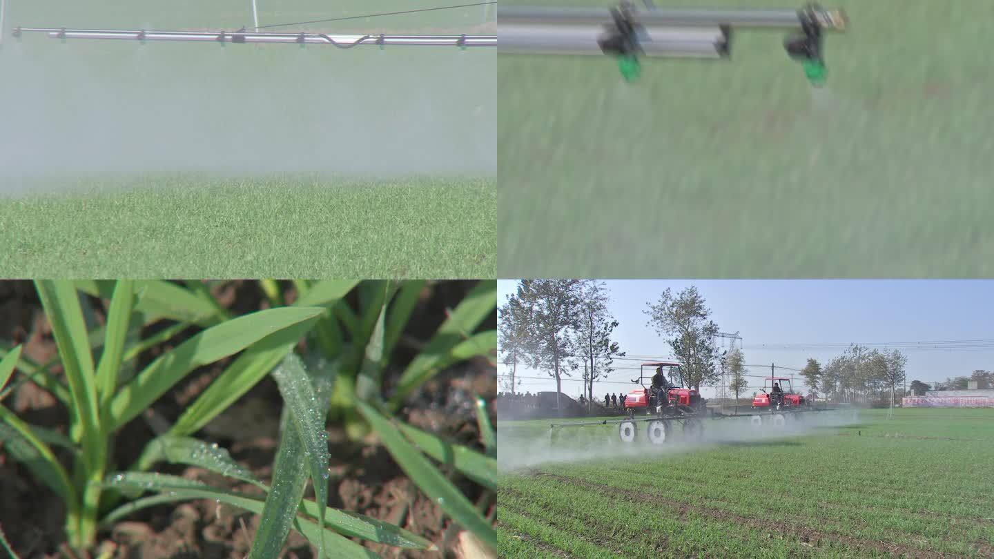 小麦机械化现代化农业浇水打药