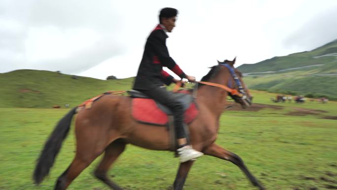 彝族高山赛马